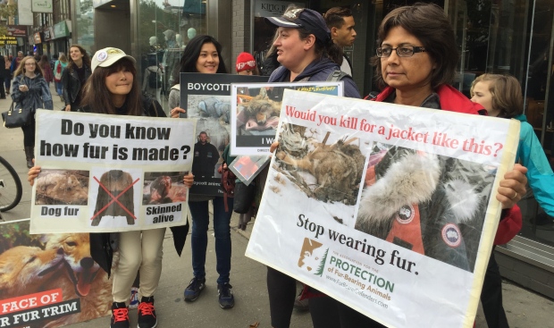 Protesters Toronto Canada Goose fur